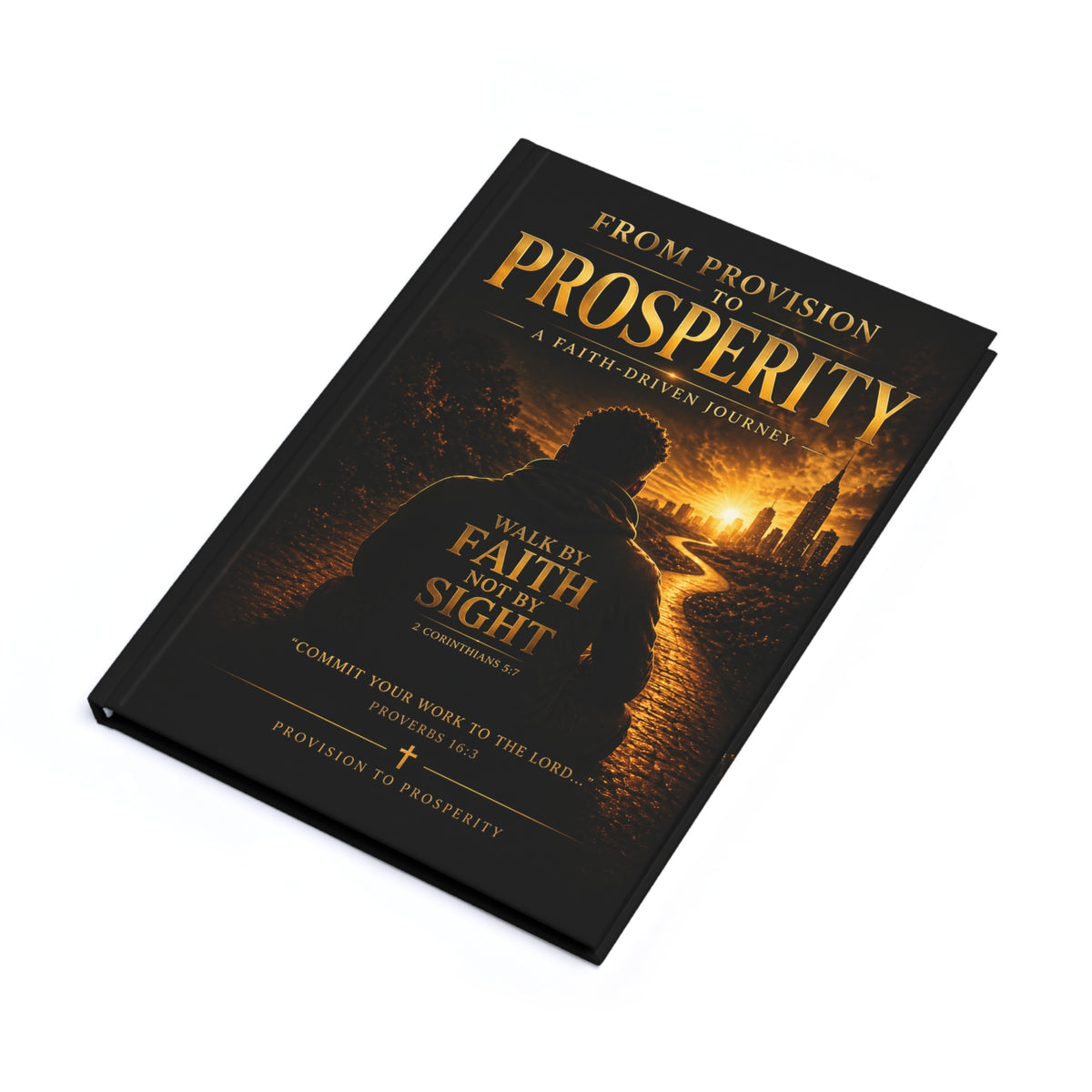 Provision to Prosperity Journal